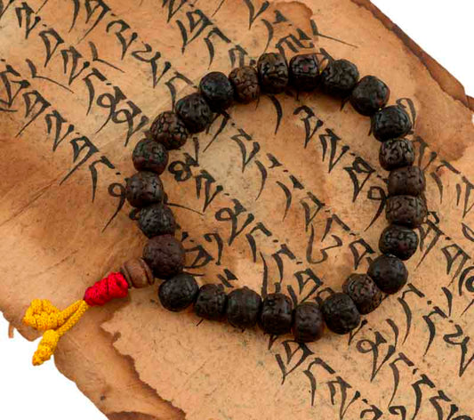 Bracelet Mala Tibétain En Graines De Rudraksha Polies – Ajustable Et Artisanal
