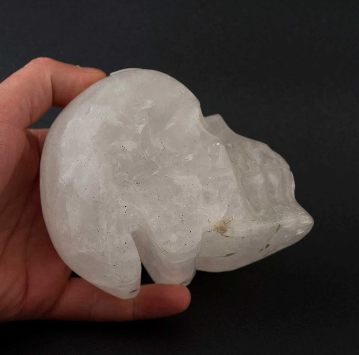Crâne De Cristal de Roche Citipati – Objet Rituel Chamanique