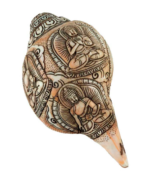 Conque Tibétaine Bouddhiste Shanka – Coquillage Sacré Artisanal du Népal
