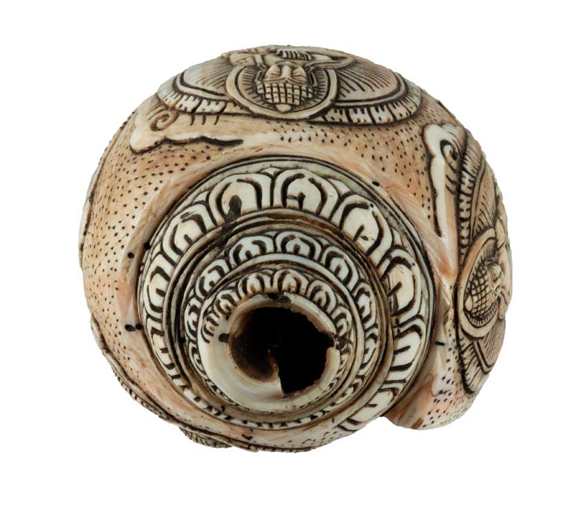 Conque Tibétaine Bouddhiste Shanka – Coquillage Sacré Artisanal du Népal