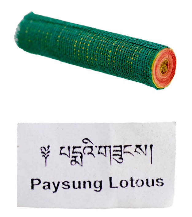 Rouleau de Mantra Tibétain du Lotus – Dhāraṇī de Parṇaśavarī et Protection Spirituelle