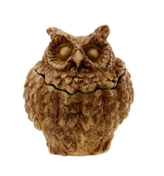 Boîte À Bijoux Chouette En Résine – Figurine Artisanale Du Népal