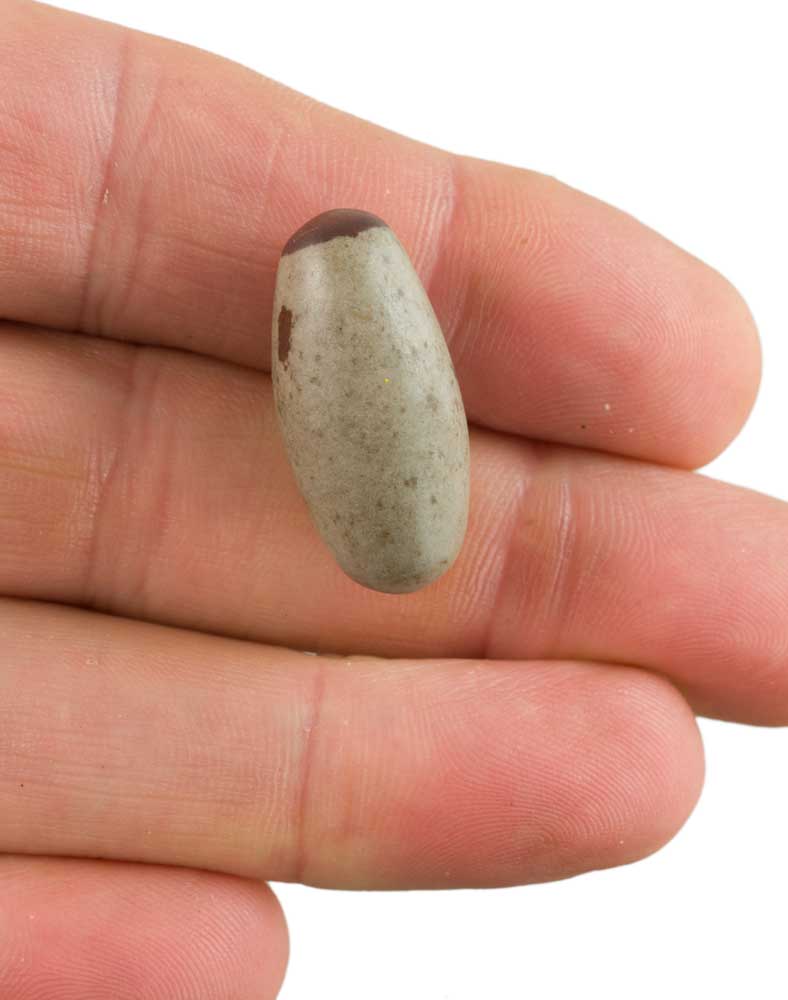 Shiva Lingam Narmada – Pierre Sacrée Narmadeshwar