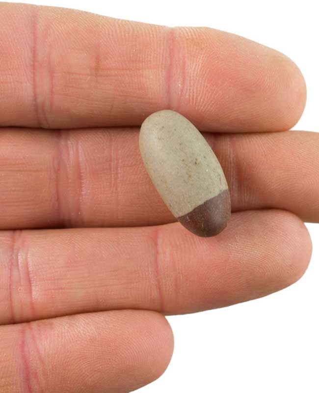 Shiva Lingam – Pierre Naturelle Sacrée De La Rivière Narmada