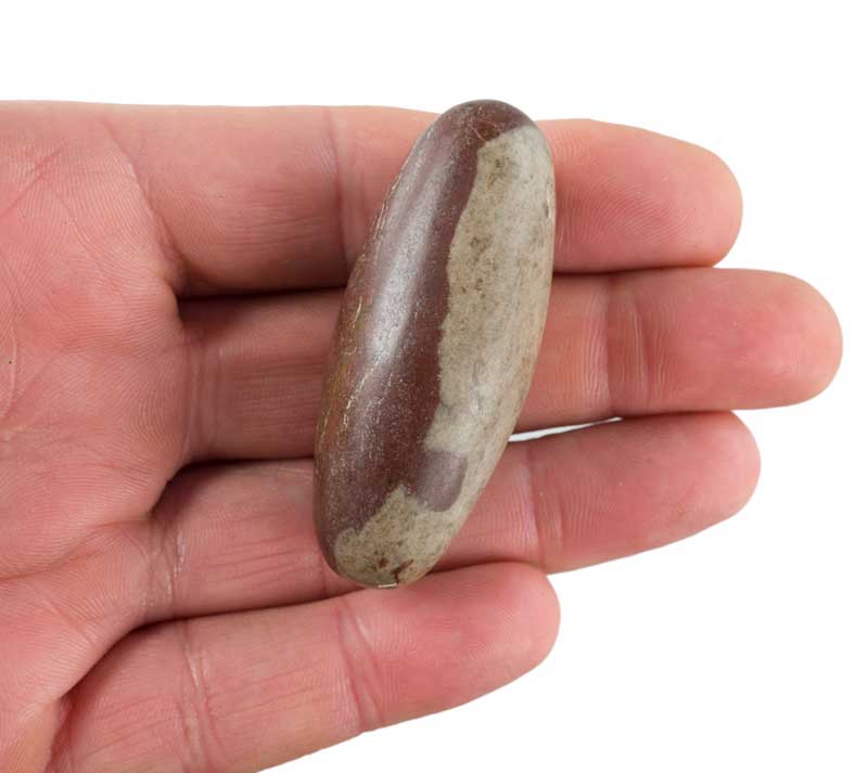 Œuf De Shiva Lingam – Pierre Cosmique Sacrée De La Narmada