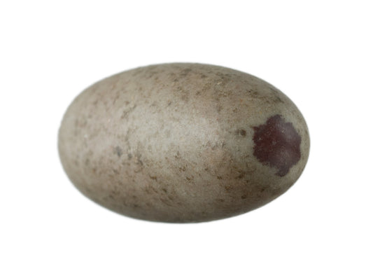 Pierre Roulée Shiva Lingam – Méditation Et Spiritualité