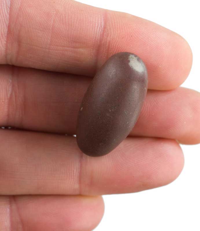 Shiva Lingam – Pierre Spirituelle Sacrée de la Rivière Narmada