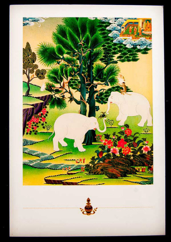 Carte Postale 4 Frères Harmonieux Bouddhiste du Népal