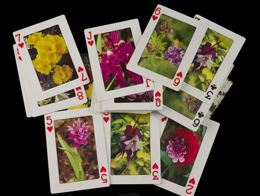 Jeu de 56 Cartes à Jouer – Les Fleurs de l'Himalaya du Népal