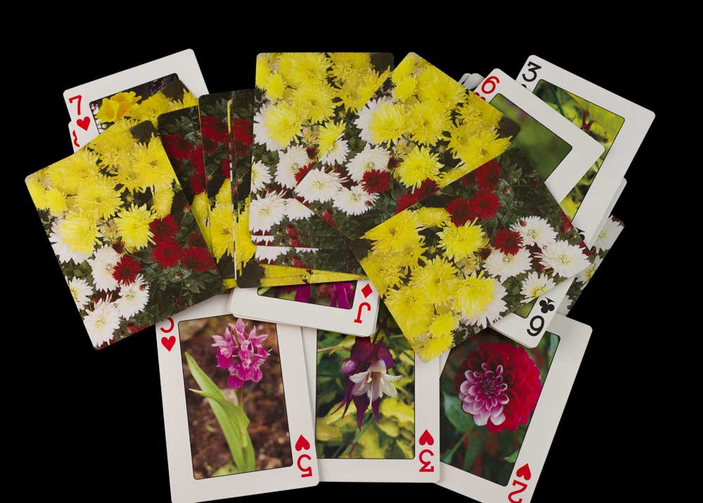 Jeu de 56 Cartes à Jouer – Les Fleurs de l'Himalaya du Népal