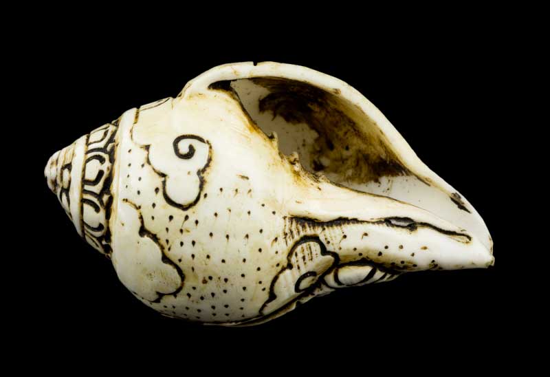 Conque Bouddhiste Tibétaine Jambhala Shanka Dungkar – Ornement Spirituel en Coquillage du Népal