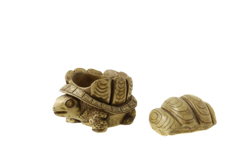 Boîte À Bijoux Tortue En Résine – Vide-Poche Décoratif Du Népal