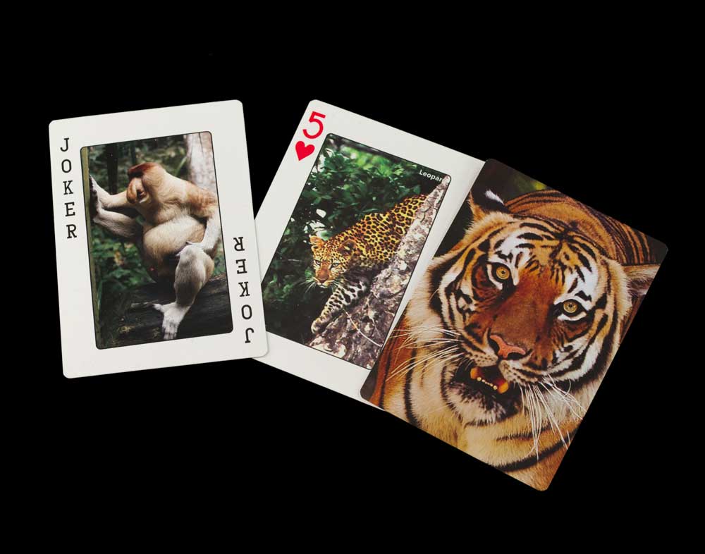Jeu de 56 Cartes à Jouer – Les Animaux de l'Himalaya du Népal