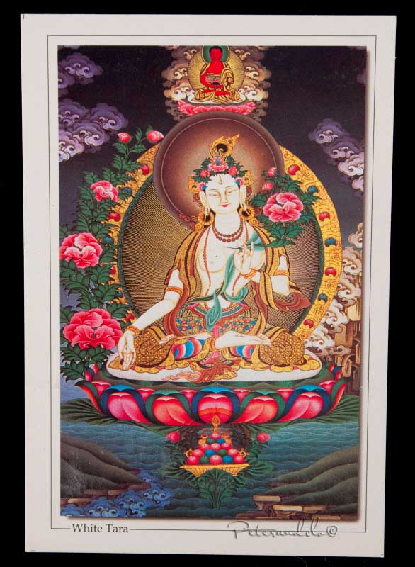 Carte Postale Tara Blanche Bouddhiste du Népal