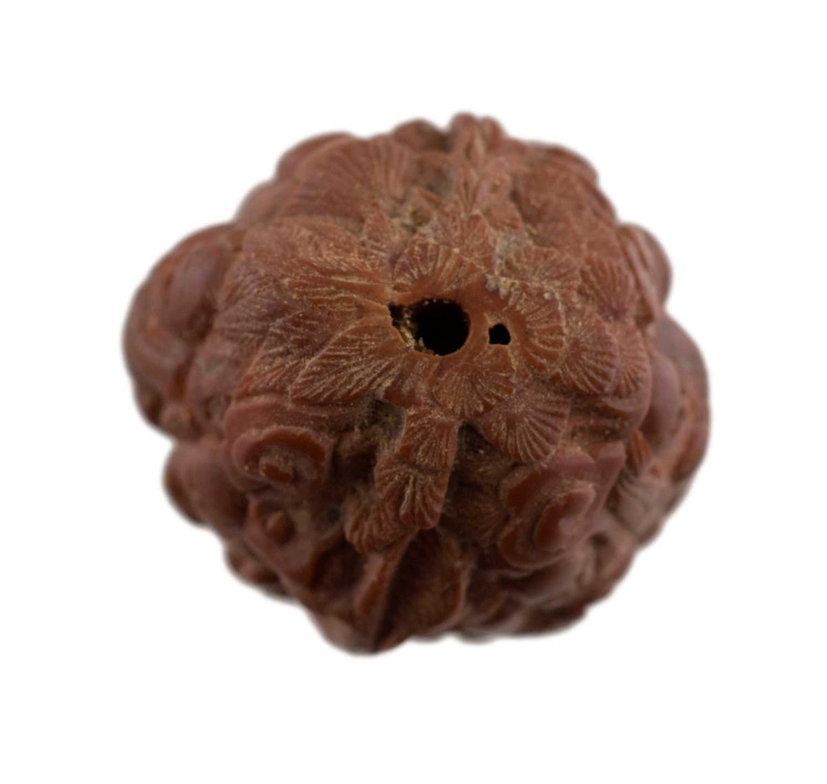 Coquille de Noix Hediao Sculptée – Bouddha et Moines Luohan