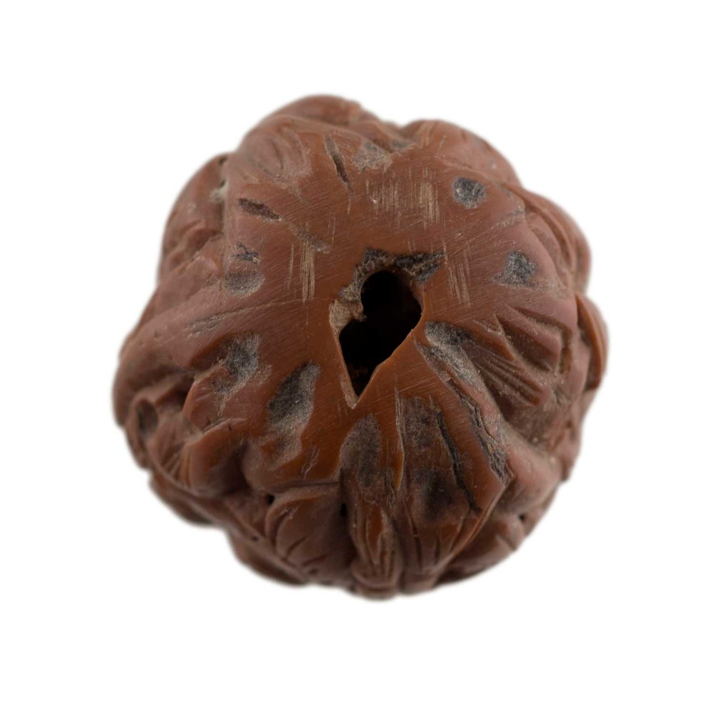 Coquille de Noix Hediao Sculptée – Bouddha et Moines Luohan