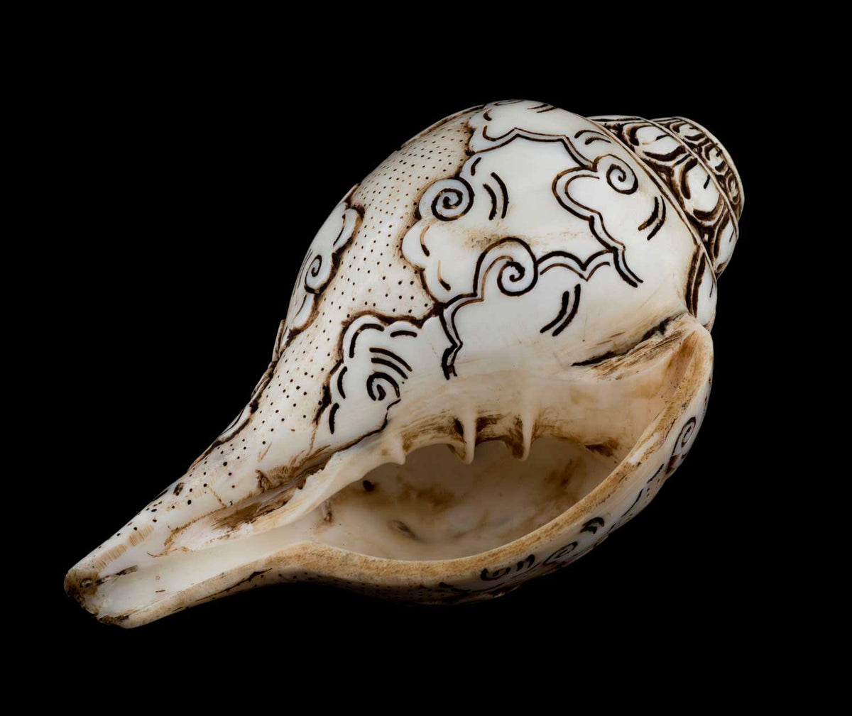 Conque Bouddhiste Tibétaine Mahakala Shakti Shanka – Coquillage Sculpté Artisanal du Népal
