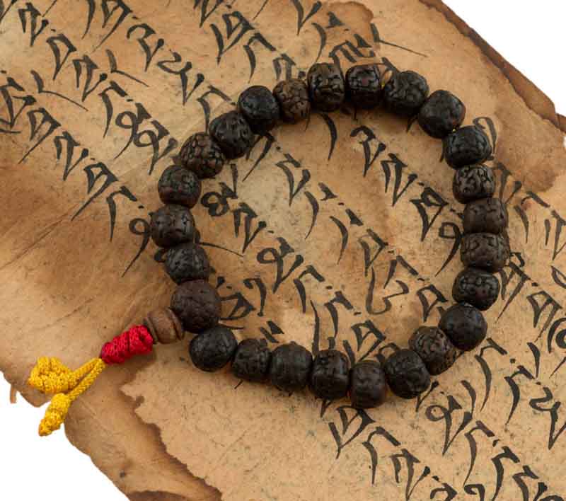 Bracelet Mala Tibétain En Graines De Rudraksha Polies – Ajustable Et Artisanal