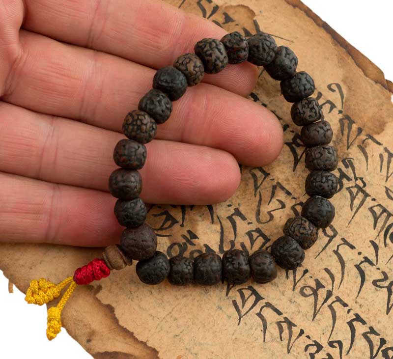 Bracelet Mala Tibétain En Graines De Rudraksha Polies – Ajustable Et Artisanal