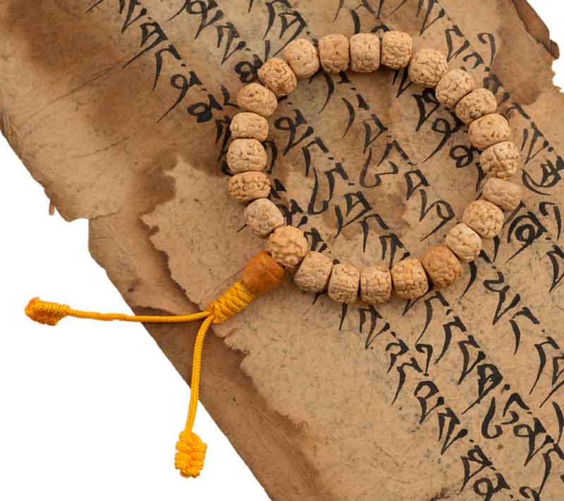 Bracelet Mala Tibétain En Graines De Rudraksha Blanches – Ajustable Et Artisanal