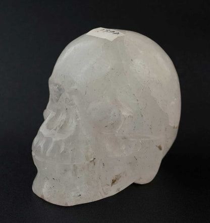 Crâne De Cristal de Roche Citipati – Objet Rituel Chamanique
