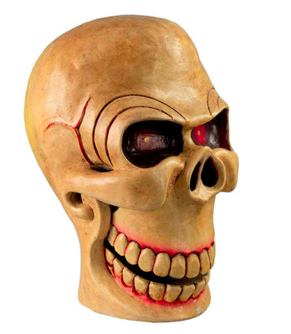 Kapala Tibétain Citipati – Crâne Rituel Tantrique en Bois Peint 26 cm