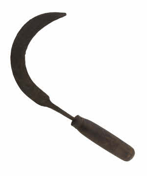 Ancienne Faucille Serpe Tibétaine en Fer et Bois – Outil Agricole de l’Himalaya