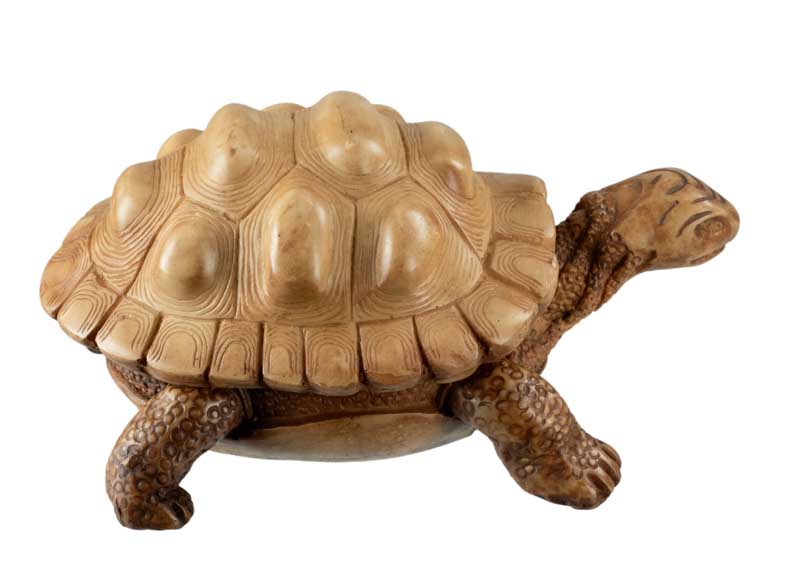 Boîte À Bijoux Tortue En Résine Beige – Artisanat Népalais