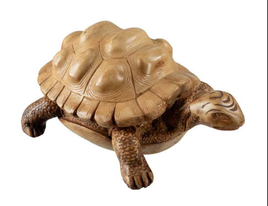 Boîte À Bijoux Tortue En Résine Beige – Artisanat Népalais