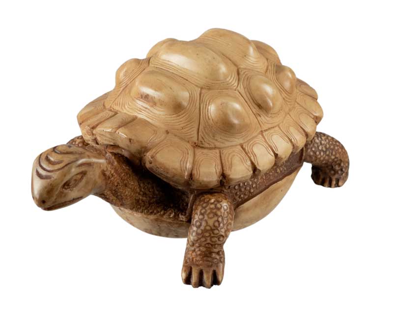 Boîte À Bijoux Tortue En Résine Beige – Artisanat Népalais