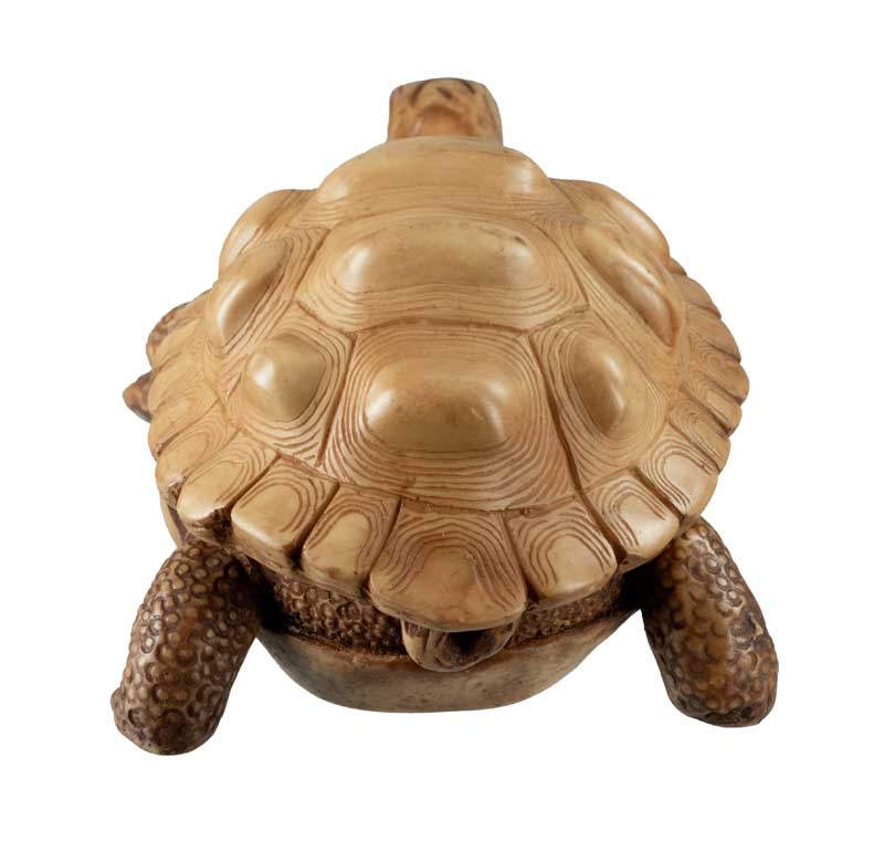Boîte À Bijoux Tortue En Résine Beige – Artisanat Népalais