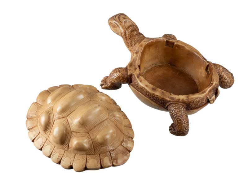 Boîte À Bijoux Tortue En Résine Beige – Artisanat Népalais