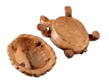 Boîte À Bijoux Tortue En Résine Beige – Artisanat Népalais