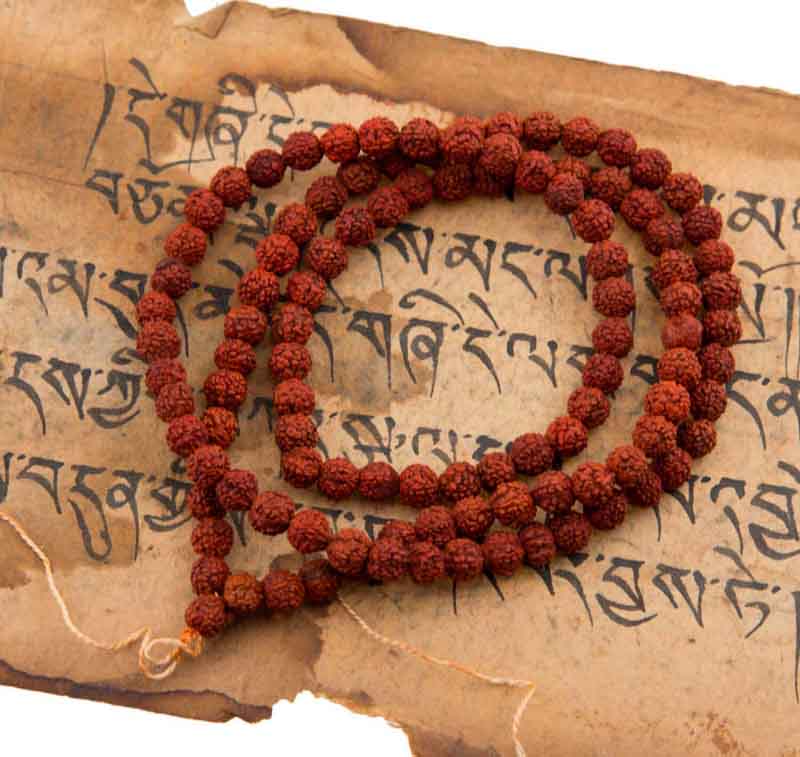 Mala Tibétain en Graines de Rudraksha 6/7 mm – Chapelet Bouddhiste Authentique