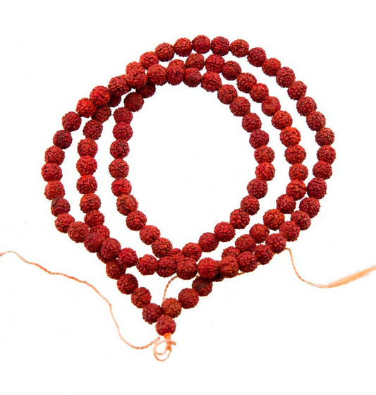 Mala Tibétain en Graines de Rudraksha 6/7 mm – Chapelet Bouddhiste Authentique