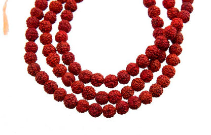 Mala Tibétain en Graines de Rudraksha 6/7 mm – Chapelet Bouddhiste Authentique
