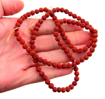 Mala Tibétain en Graines de Rudraksha 6/7 mm – Chapelet Bouddhiste Authentique