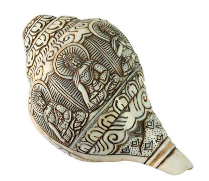 Conque Bouddhiste Tibétaine Bouddha Dhyani Shanka – Coquillage Sculpté Artisanal du Népal