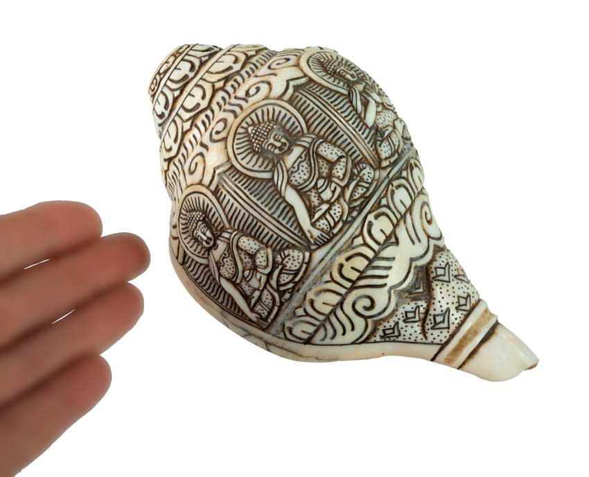 Conque Bouddhiste Tibétaine Bouddha Dhyani Shanka – Coquillage Sculpté Artisanal du Népal