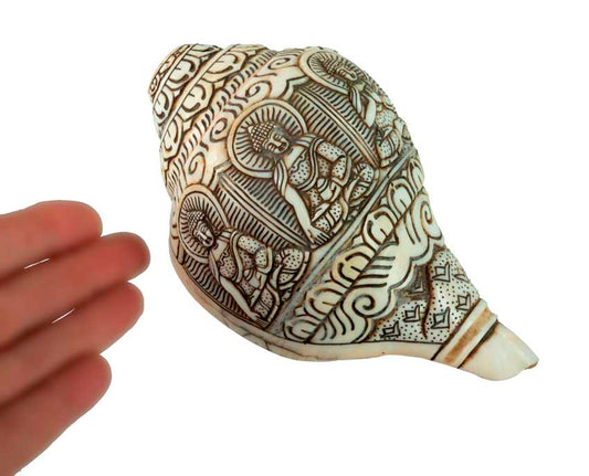 Conque Bouddhiste Tibétaine Bouddha Dhyani Shanka – Coquillage Sculpté Artisanal du Népal