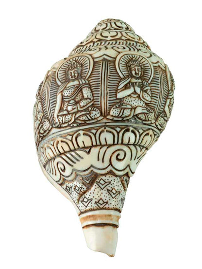 Conque Bouddhiste Tibétaine Bouddha Dhyani Shanka – Coquillage Sculpté Artisanal du Népal
