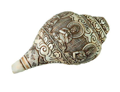 Conque Bouddhiste Tibétaine Bouddha Dhyani Shanka – Coquillage Sculpté Artisanal du Népal