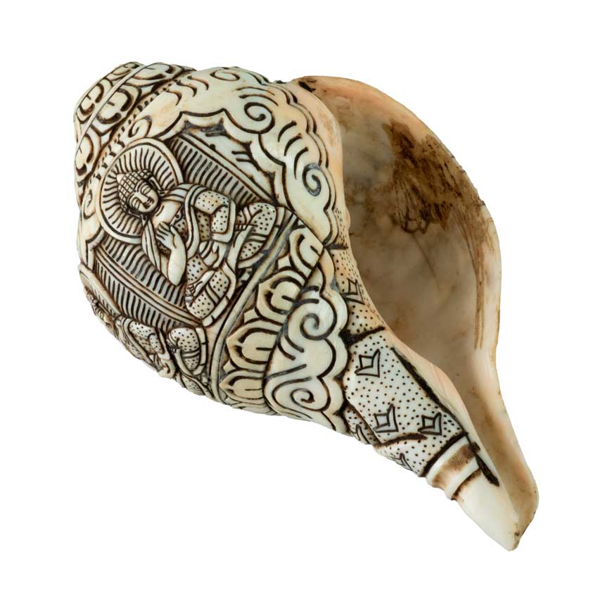 Conque Bouddhiste Tibétaine Bouddha Dhyani Shanka – Coquillage Sculpté Artisanal du Népal
