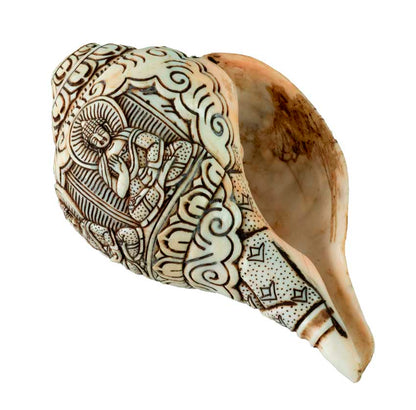Conque Bouddhiste Tibétaine Bouddha Dhyani Shanka – Coquillage Sculpté Artisanal du Népal