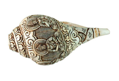 Conque Bouddhiste Tibétaine Bouddha Dhyani Shanka – Coquillage Sculpté Artisanal du Népal
