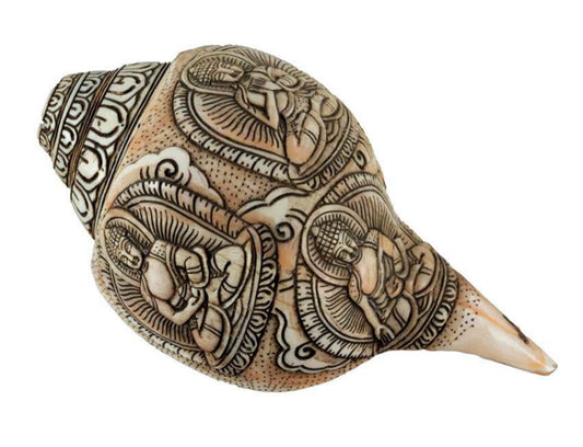 Conque Tibétaine Bouddhiste Shanka – Coquillage Sacré Artisanal du Népal