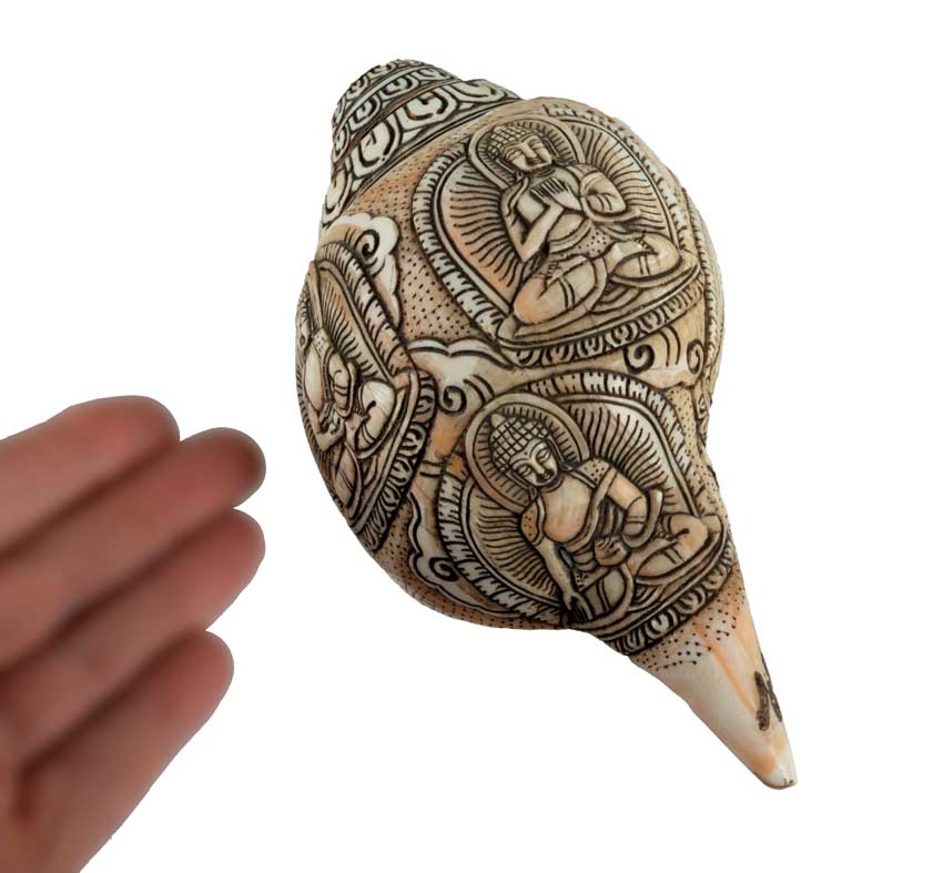 Conque Tibétaine Bouddhiste Shanka – Coquillage Sacré Artisanal du Népal