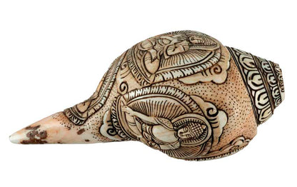 Conque Tibétaine Bouddhiste Shanka – Coquillage Sacré Artisanal du Népal
