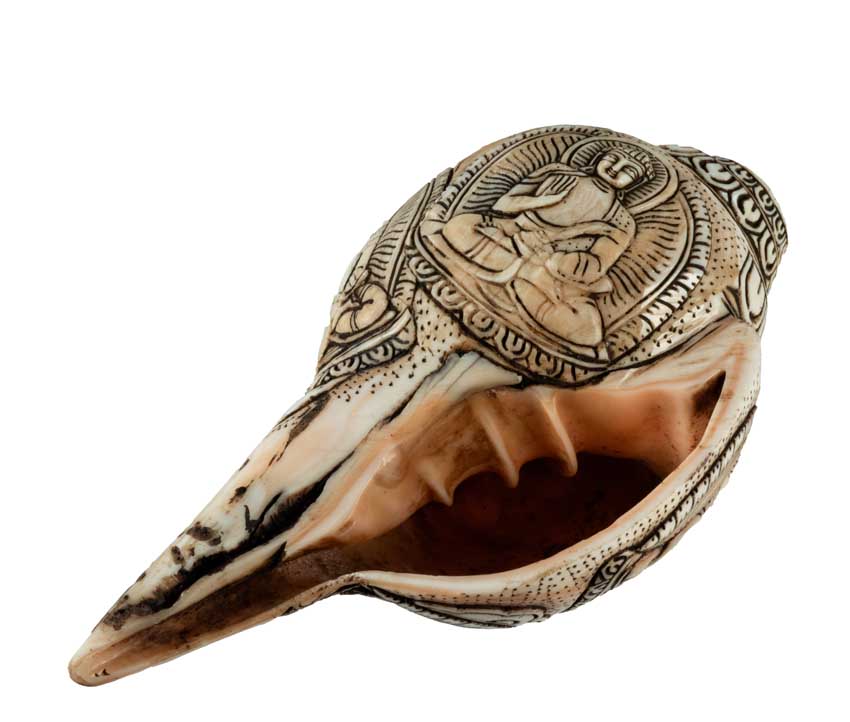 Conque Tibétaine Bouddhiste Shanka – Coquillage Sacré Artisanal du Népal