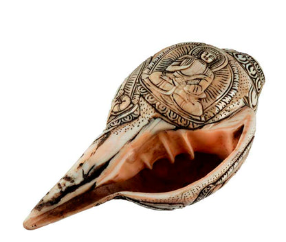 Conque Tibétaine Bouddhiste Shanka – Coquillage Sacré Artisanal du Népal